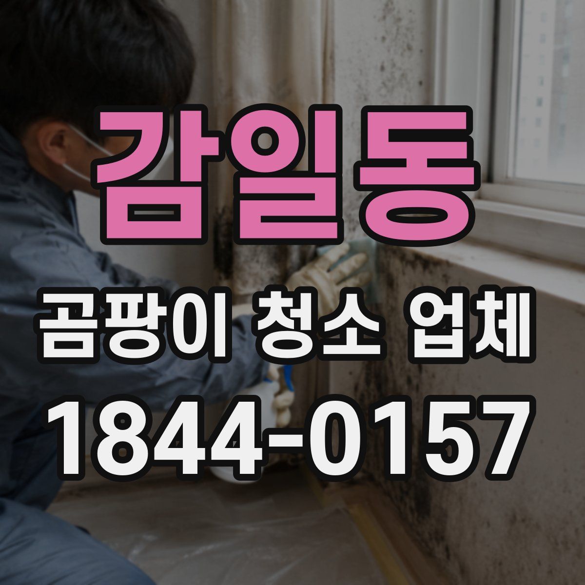 감일동 곰팡이 청소 업체