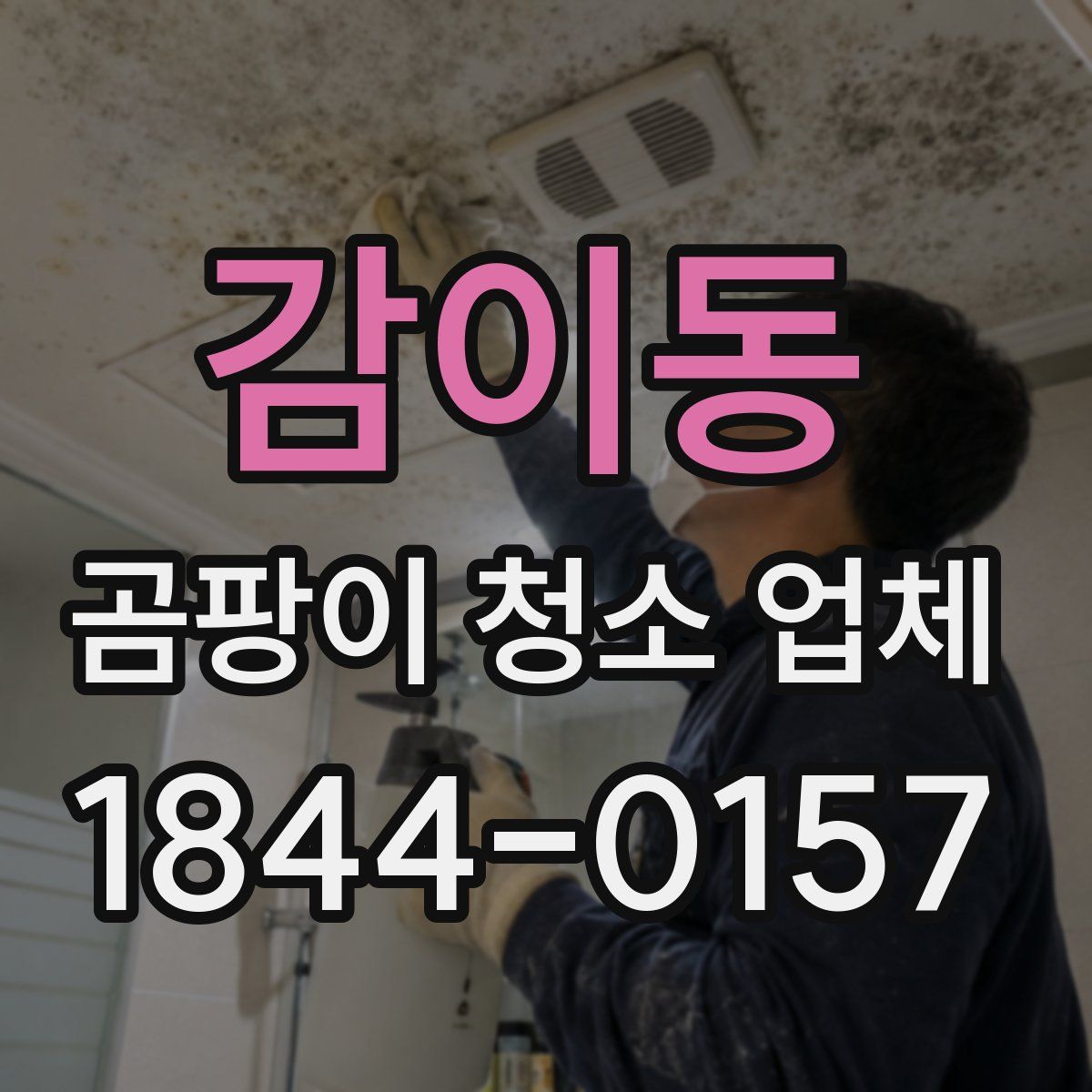 감이동 곰팡이 청소 업체