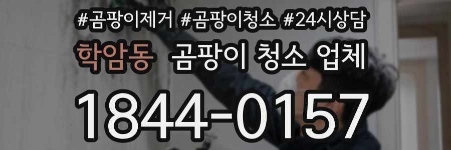 학암동 곰팡이 청소 업체