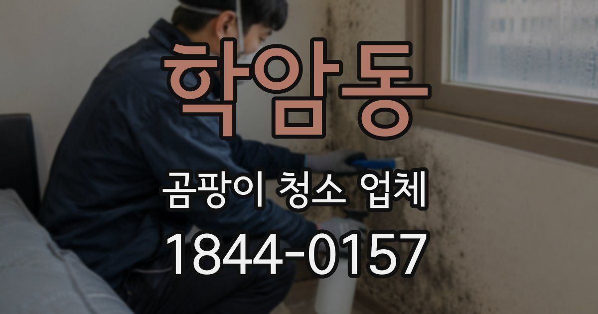 학암동 곰팡이 청소 업체