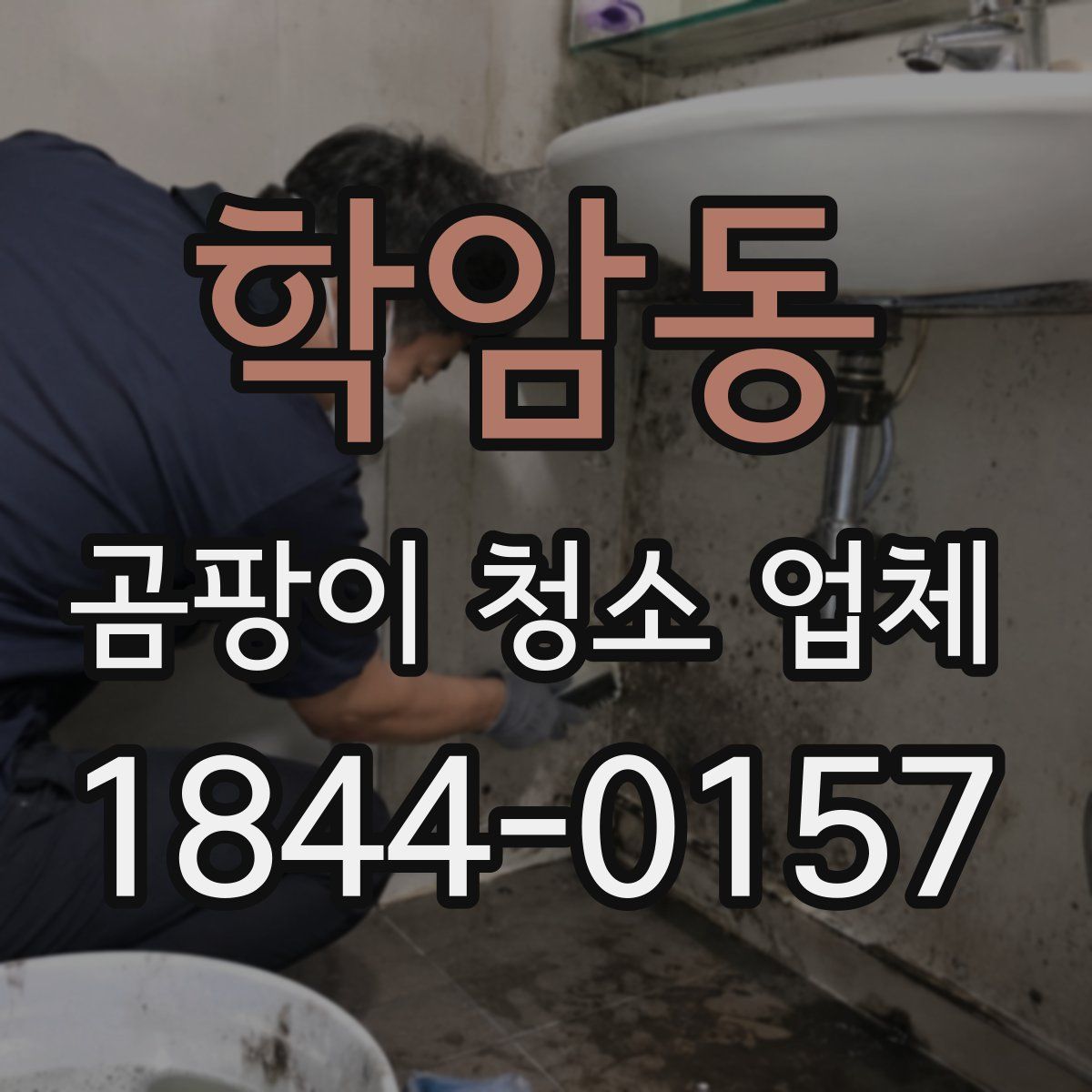 학암동 곰팡이 청소 업체