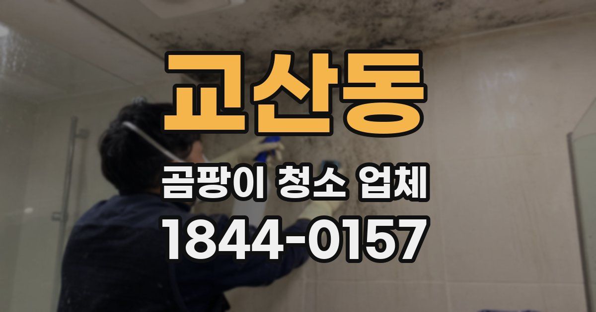 교산동 곰팡이 청소 업체