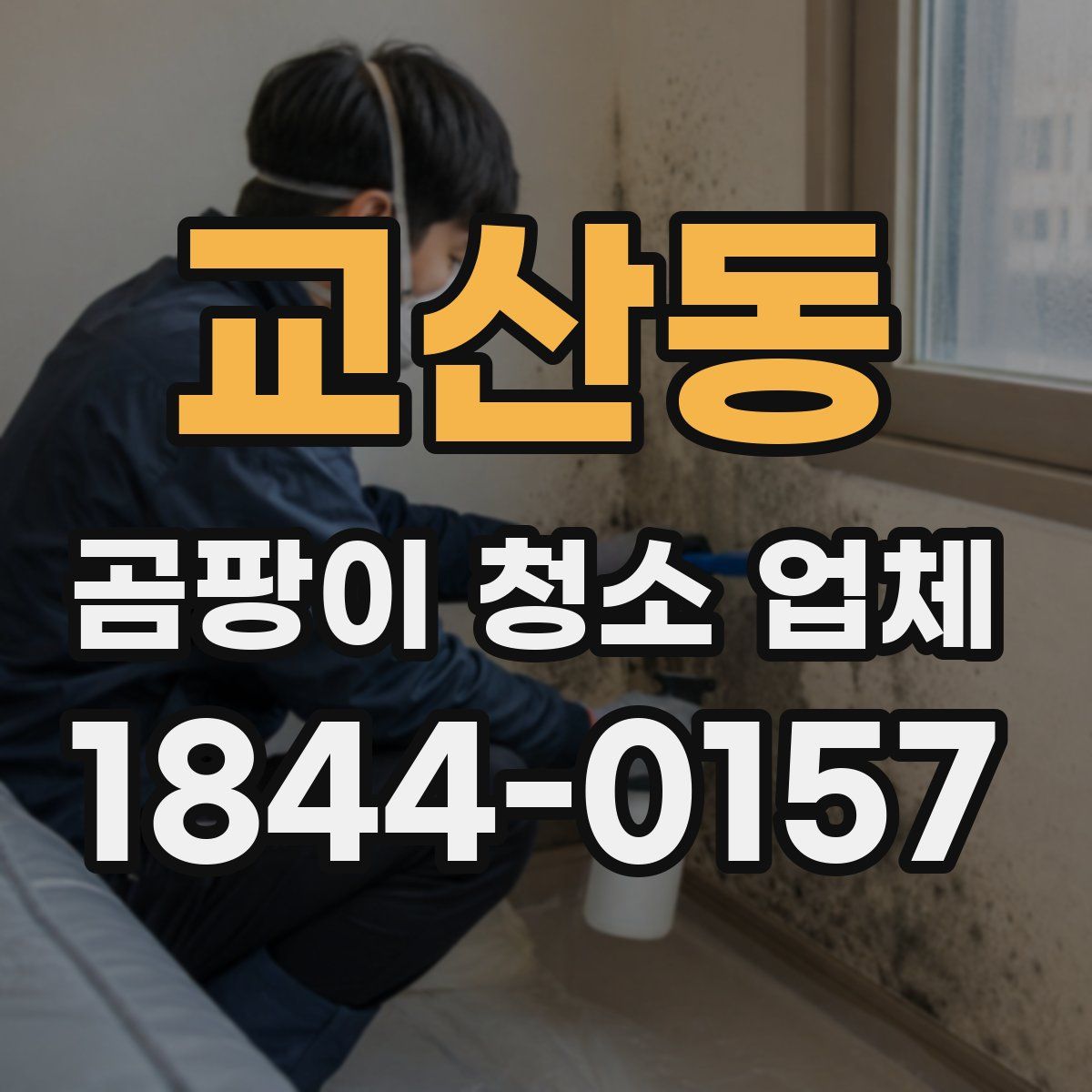교산동 곰팡이 청소 업체