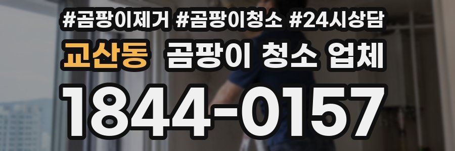 교산동 곰팡이 청소 업체