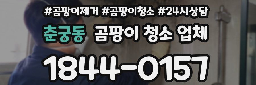 춘궁동 곰팡이 청소 업체
