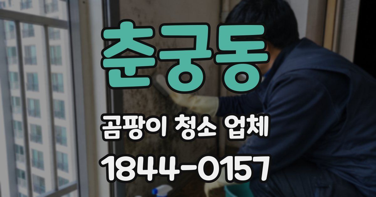 춘궁동 곰팡이 청소 업체