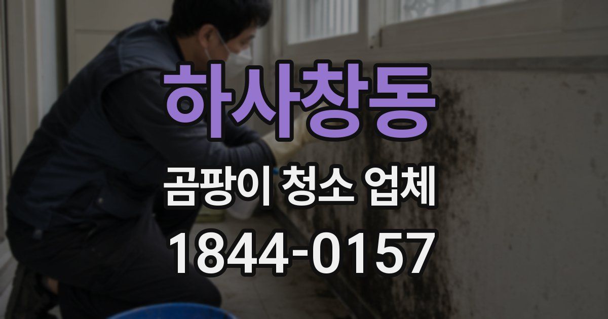 하사창동 곰팡이 청소 업체