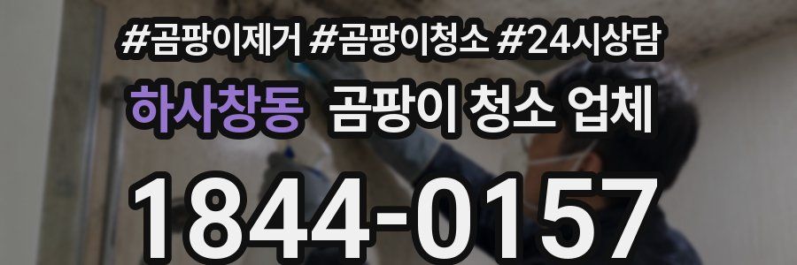하사창동 곰팡이 청소 업체
