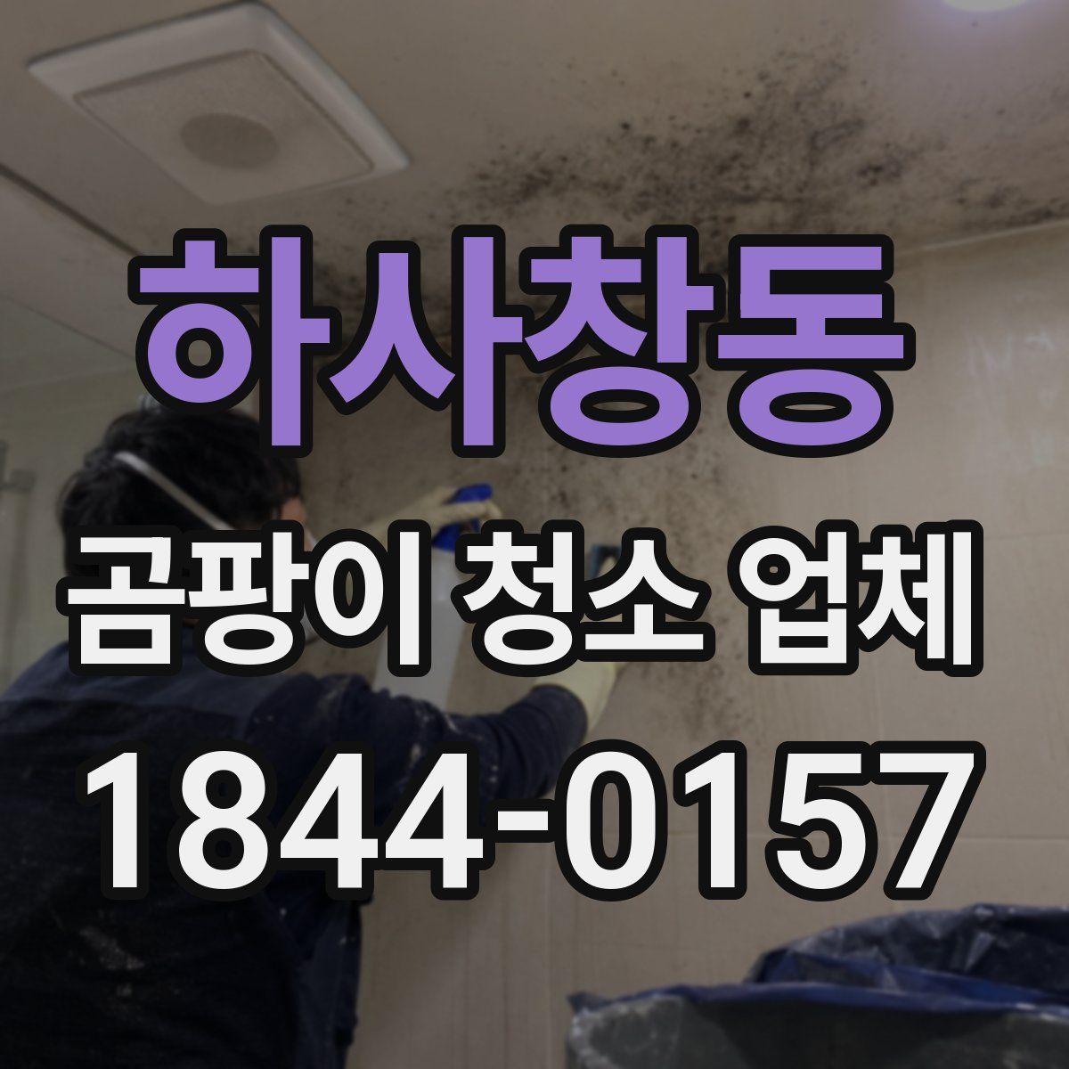 하사창동 곰팡이 청소 업체