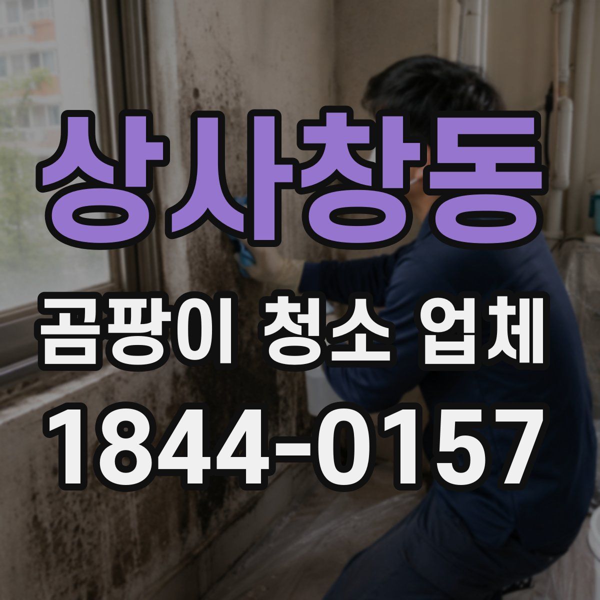 상사창동 곰팡이 청소 업체
