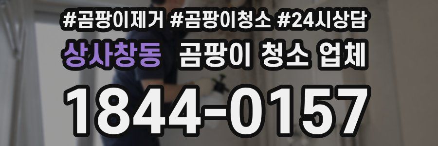 상사창동 곰팡이 청소 업체