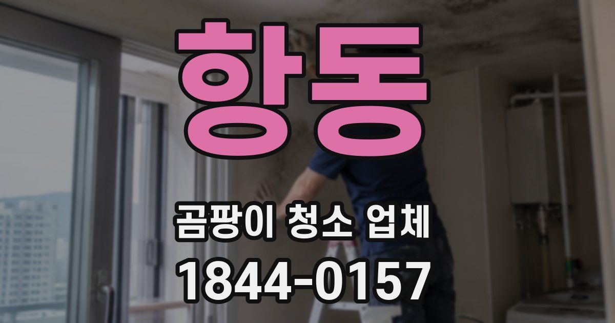 항동 곰팡이 청소 업체