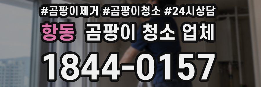 항동 곰팡이 청소 업체