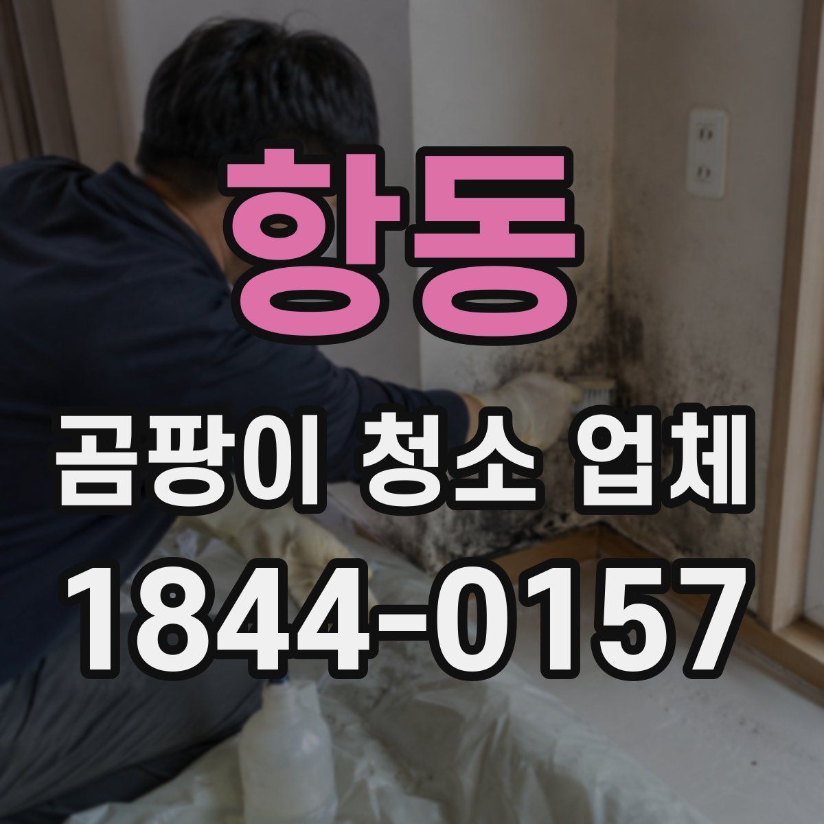 항동 곰팡이 청소 업체