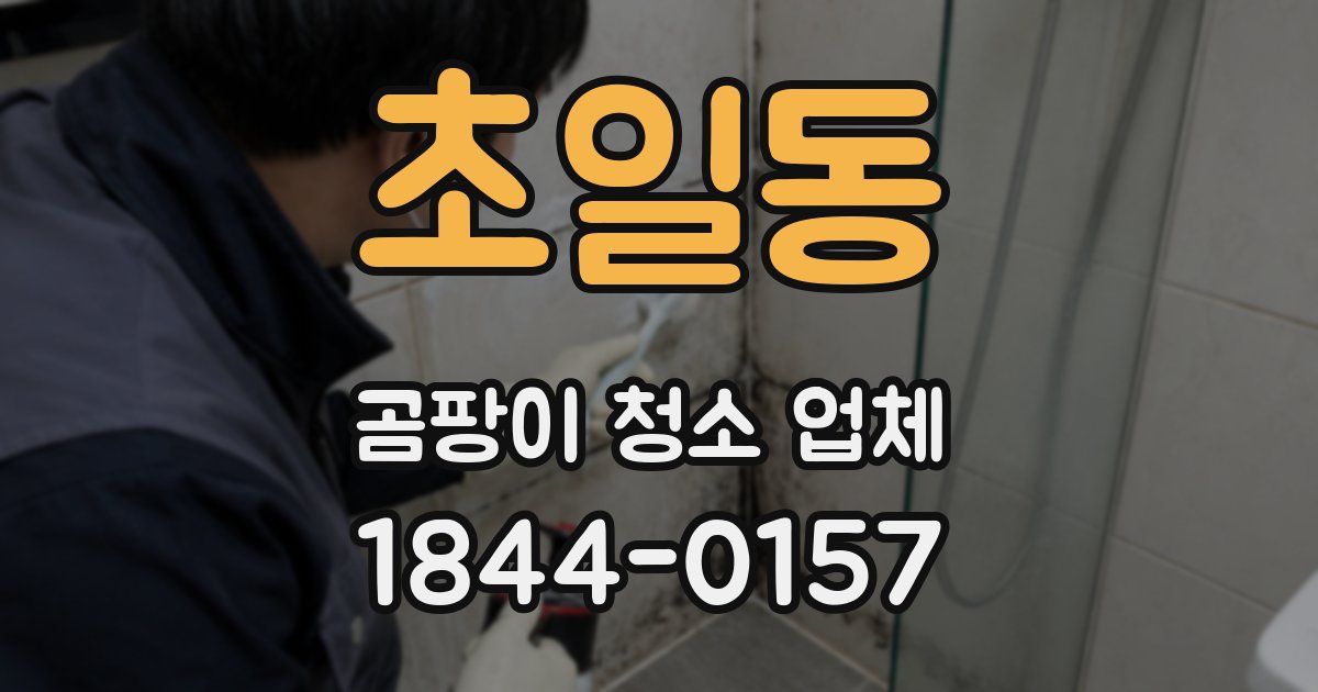 초일동 곰팡이 청소 업체
