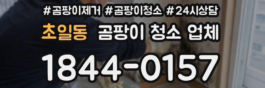 초일동 곰팡이 청소 업체