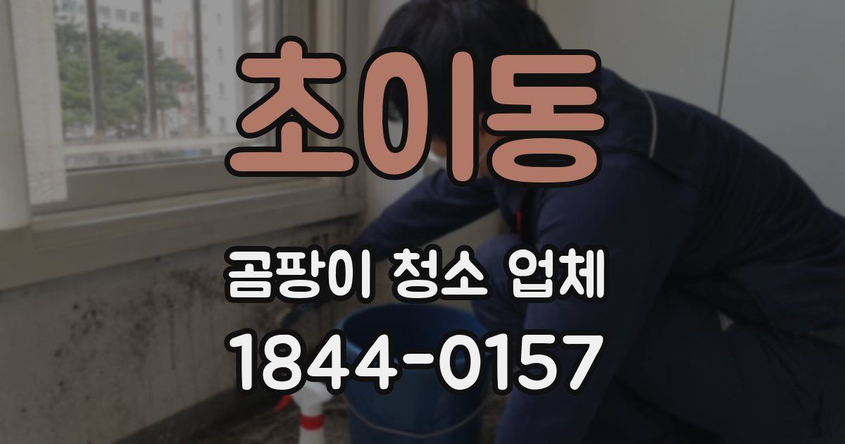 초이동 곰팡이 청소 업체
