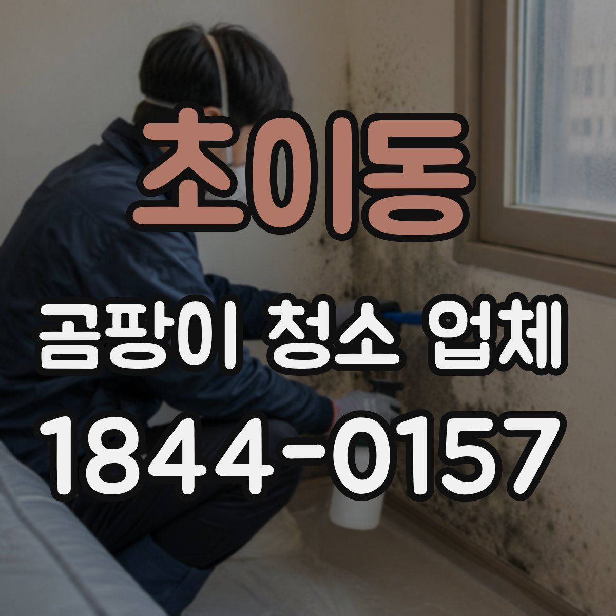 초이동 곰팡이 청소 업체