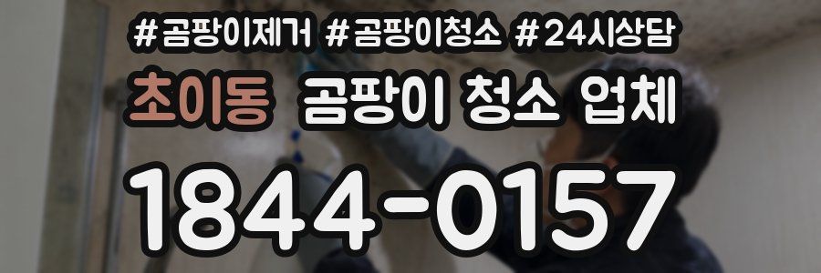 초이동 곰팡이 청소 업체