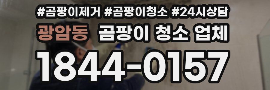 광암동 곰팡이 청소 업체