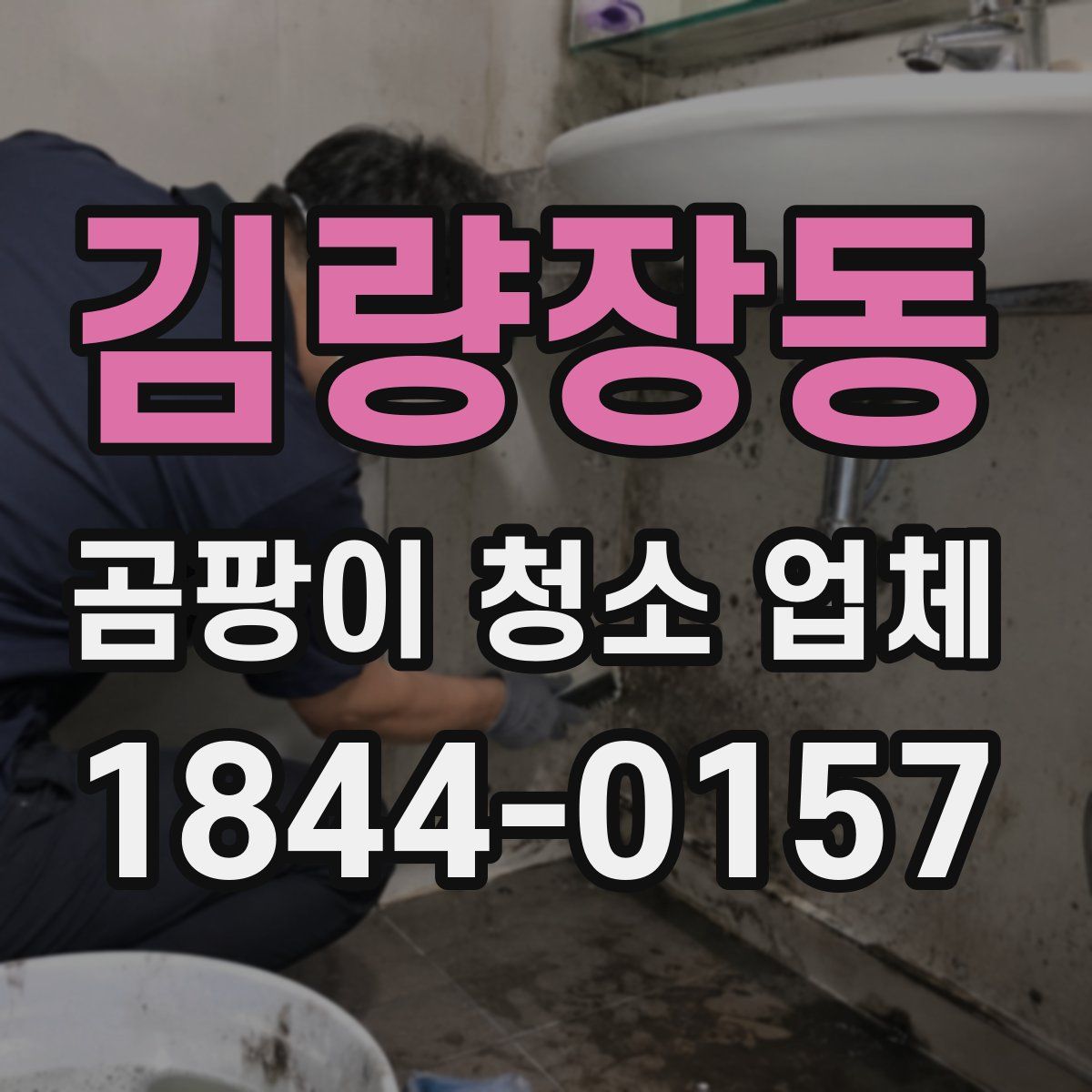 김량장동 곰팡이 청소 업체