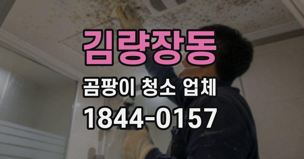 김량장동 곰팡이 청소 업체