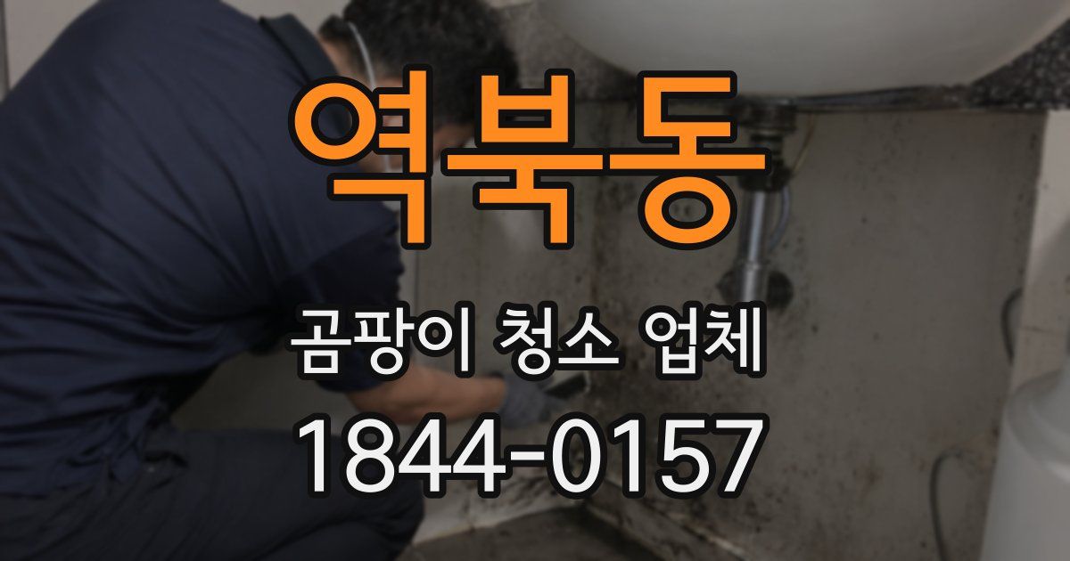 역북동 곰팡이 청소 업체