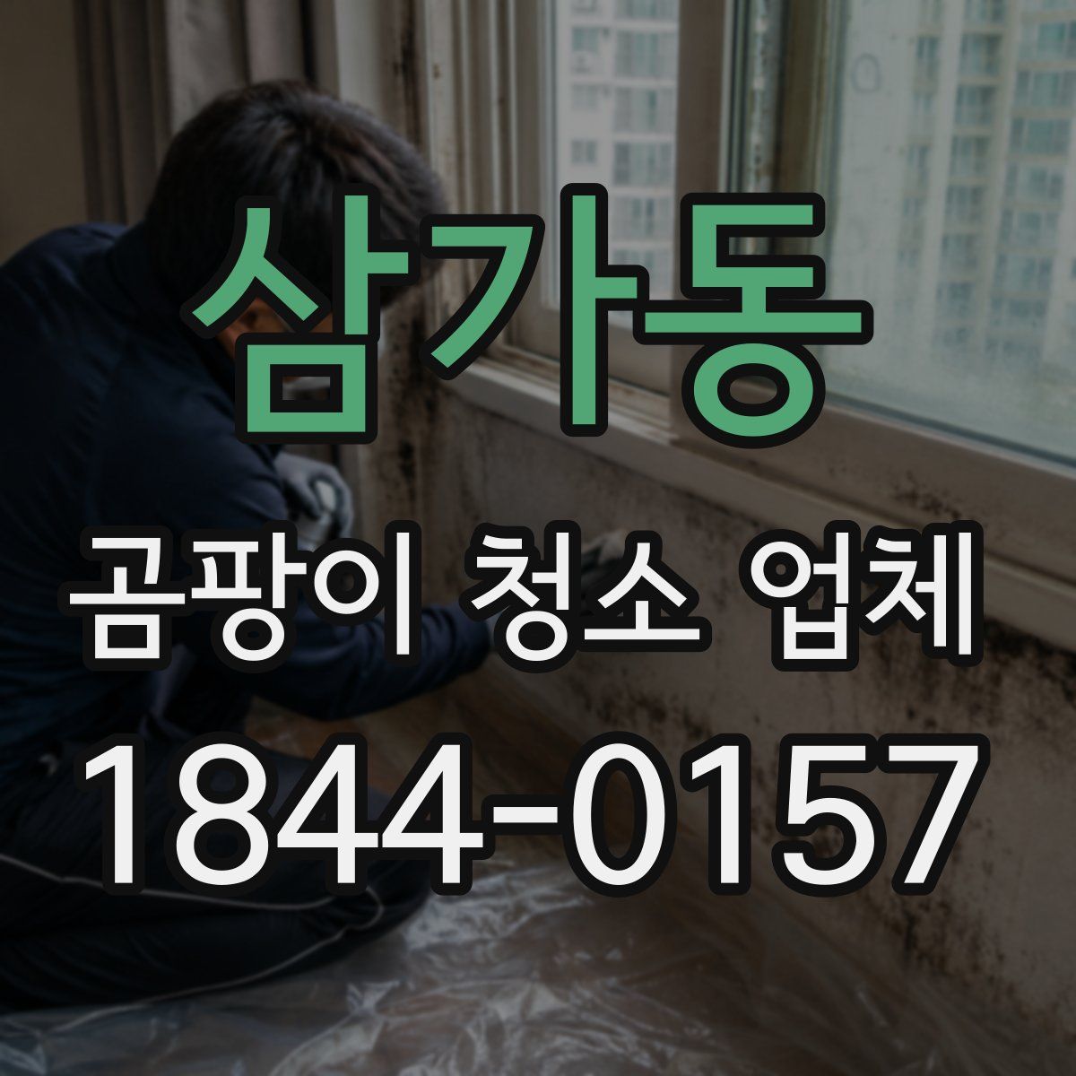 삼가동 곰팡이 청소 업체