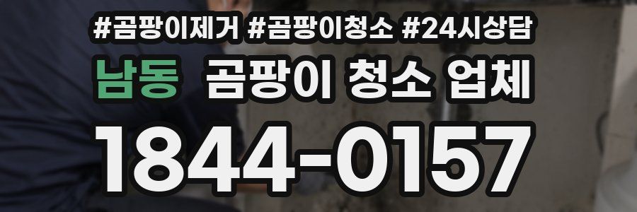 남동 곰팡이 청소 업체