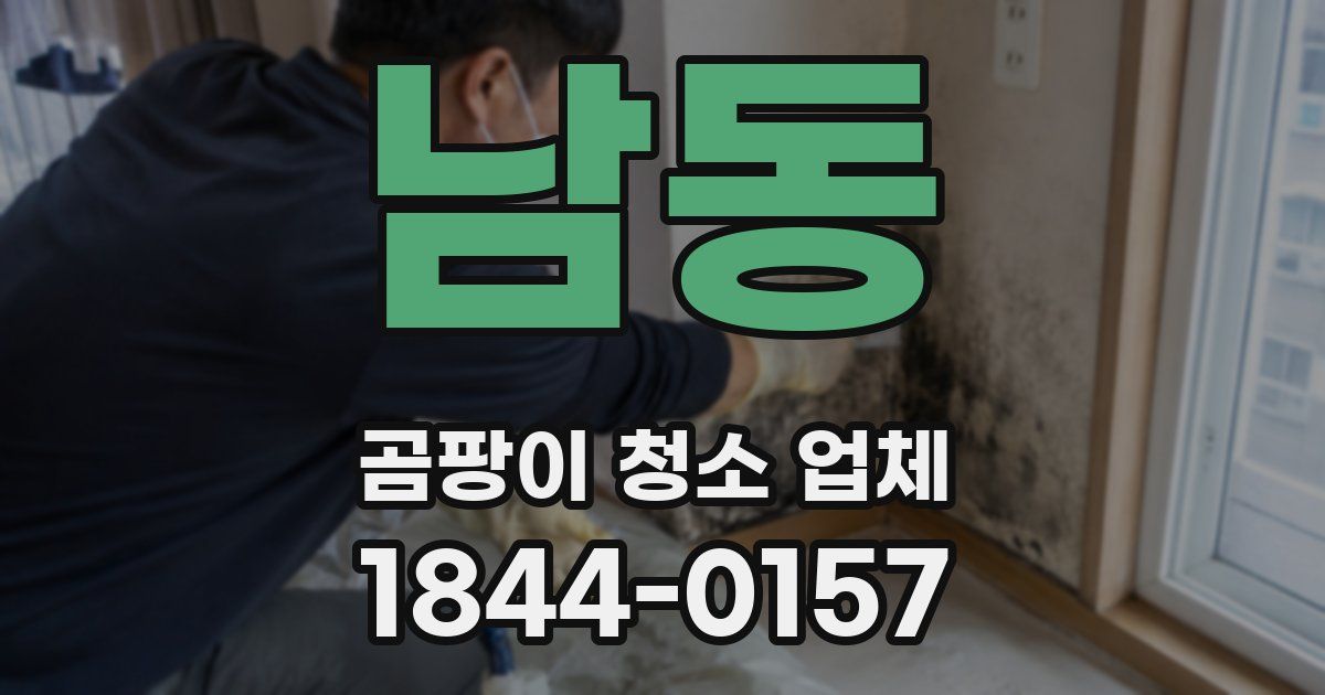 남동 곰팡이 청소 업체