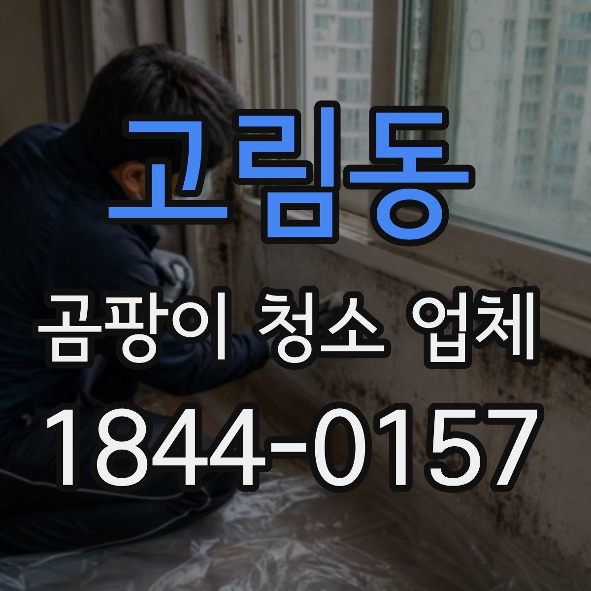 고림동 곰팡이 청소 업체
