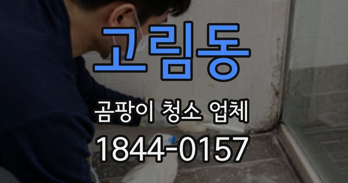 고림동 곰팡이 청소 업체
