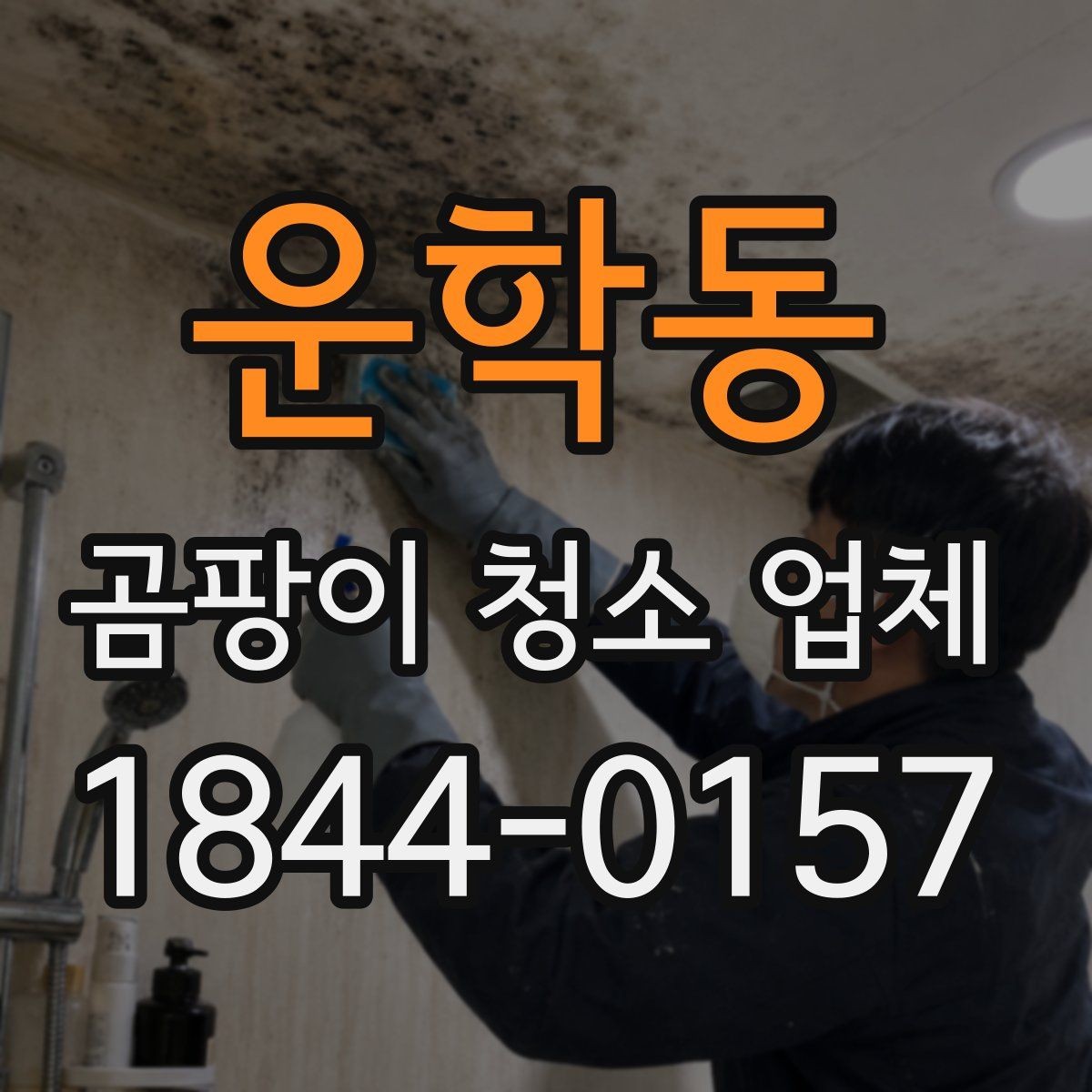 운학동 곰팡이 청소 업체 장판 아래 곰팡이 점검이 필요한 대표 상황