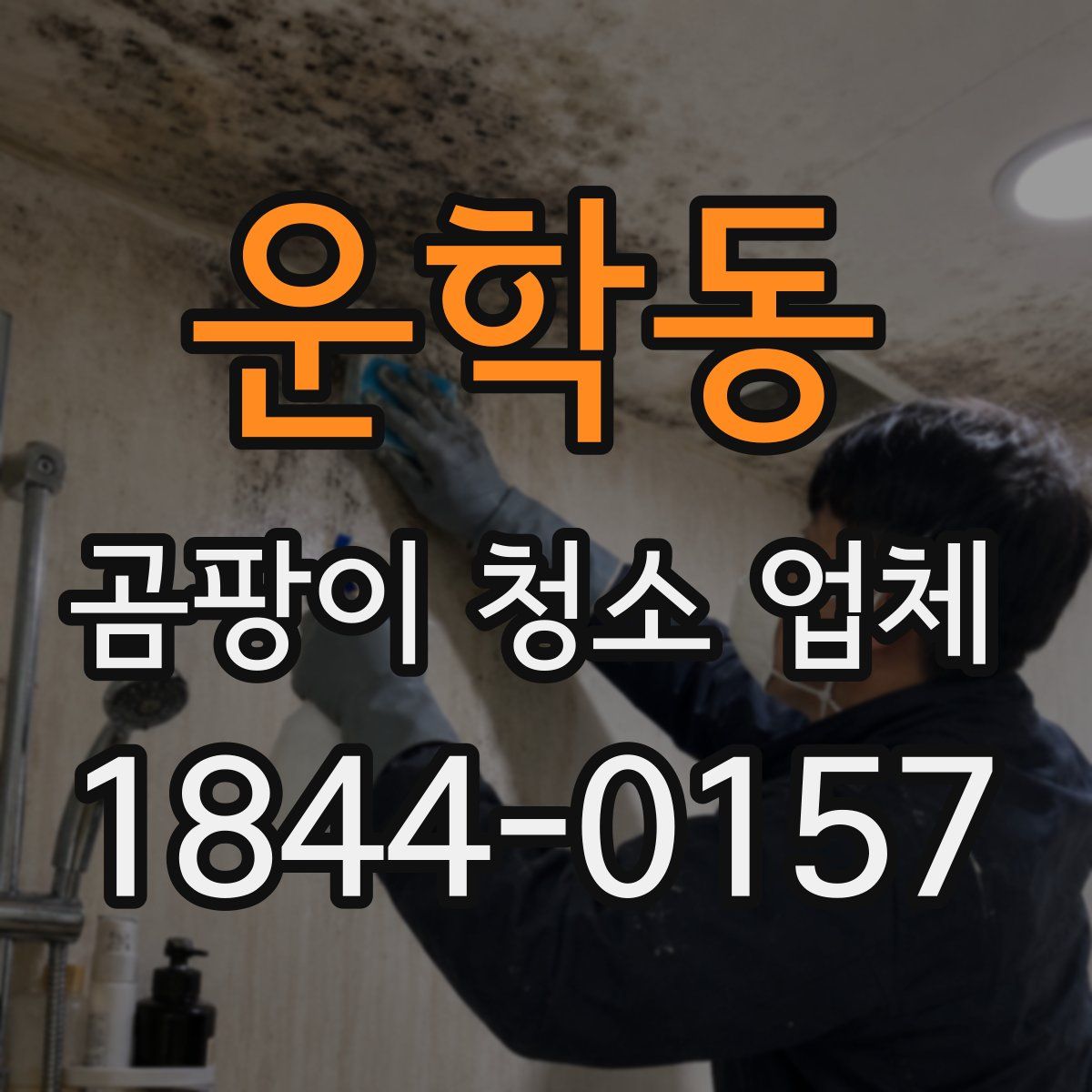 운학동 곰팡이 청소 업체