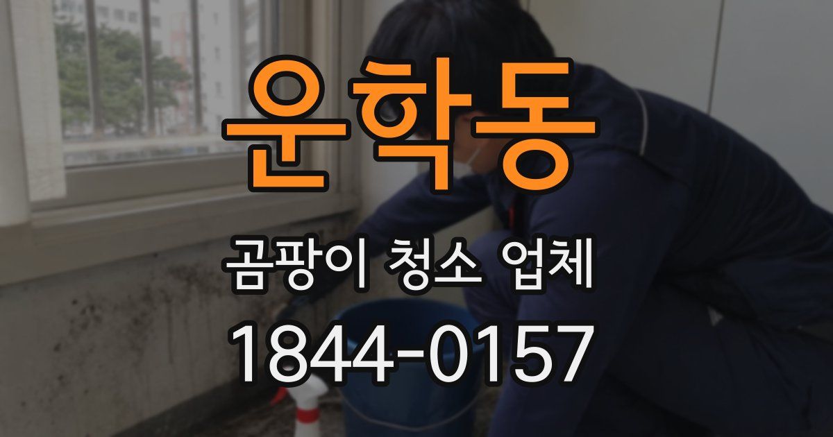 운학동 곰팡이 청소 업체