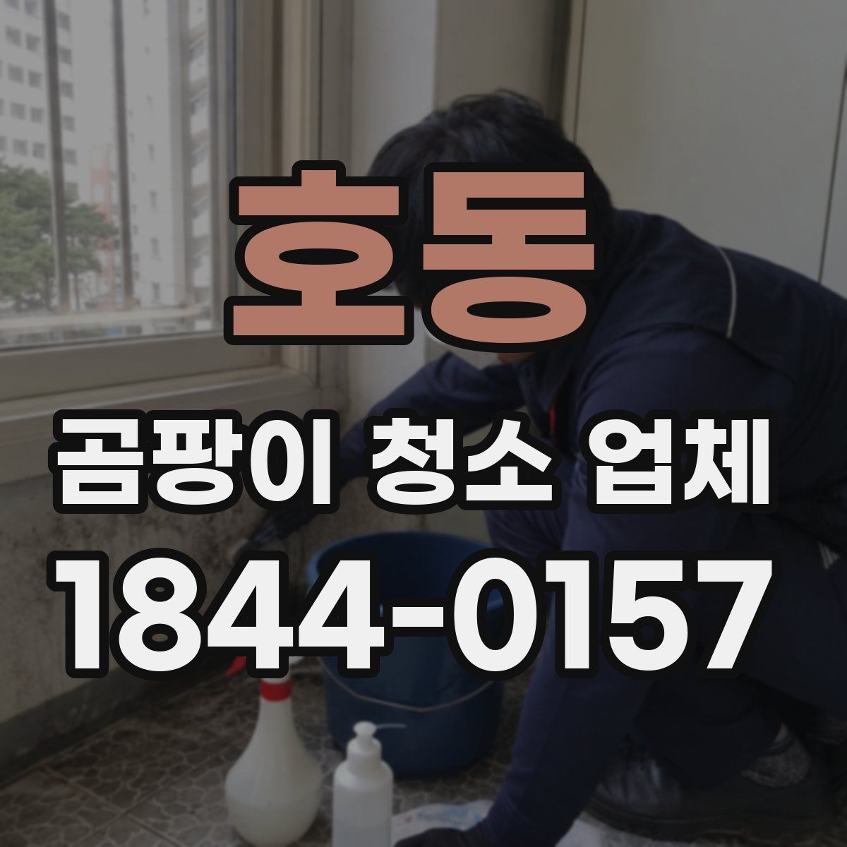 호동 곰팡이 청소 업체