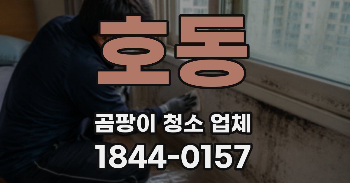 호동 곰팡이 청소 업체