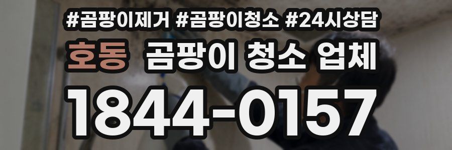 호동 곰팡이 청소 업체