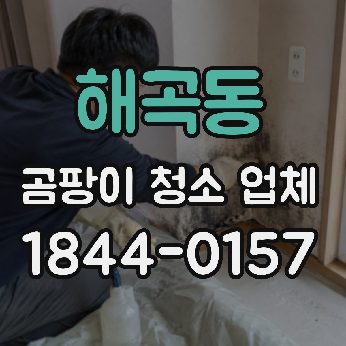 해곡동 곰팡이 청소 업체