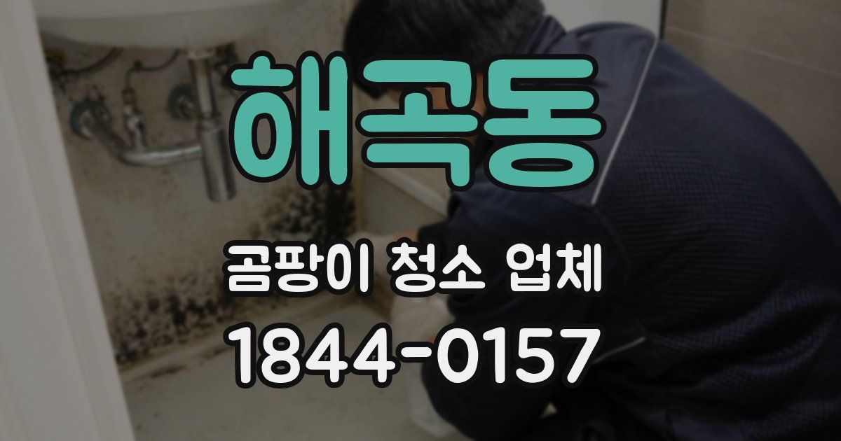해곡동 곰팡이 청소 업체