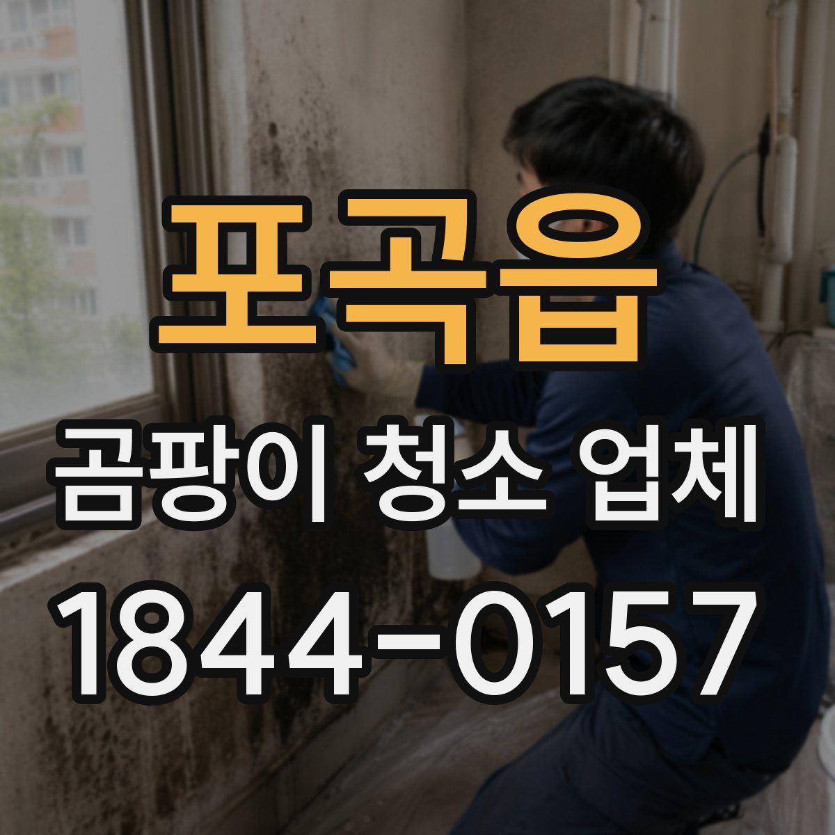 포곡읍 곰팡이 청소 업체