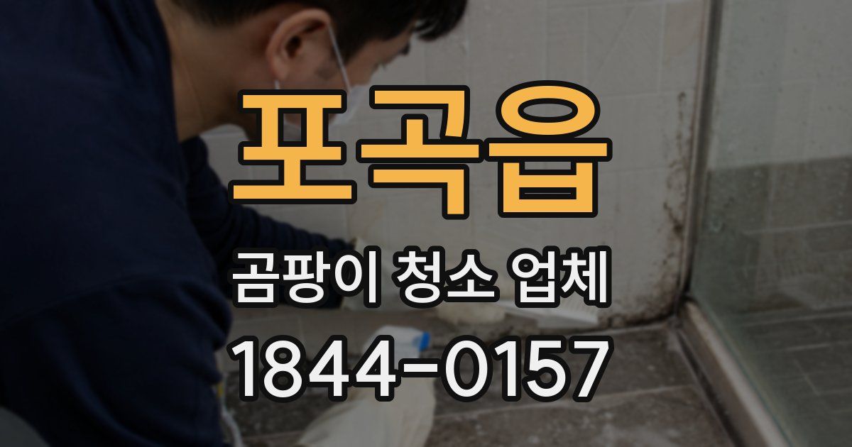 포곡읍 곰팡이 청소 업체