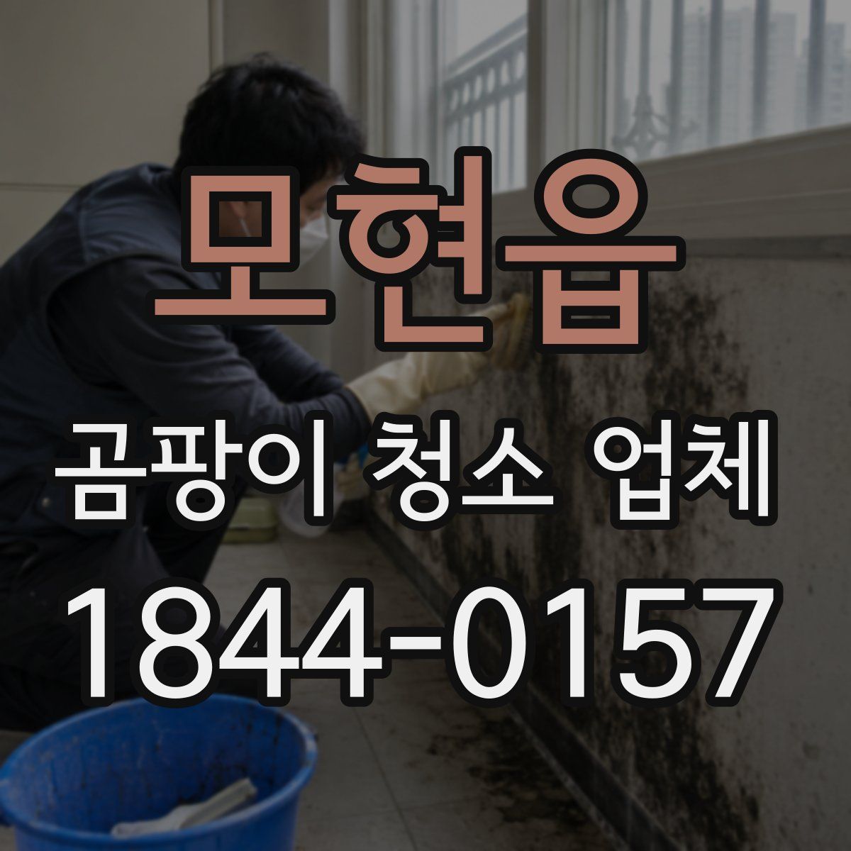모현읍 곰팡이 청소 업체