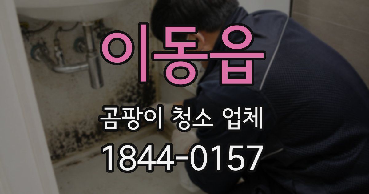 이동읍 곰팡이 청소 업체