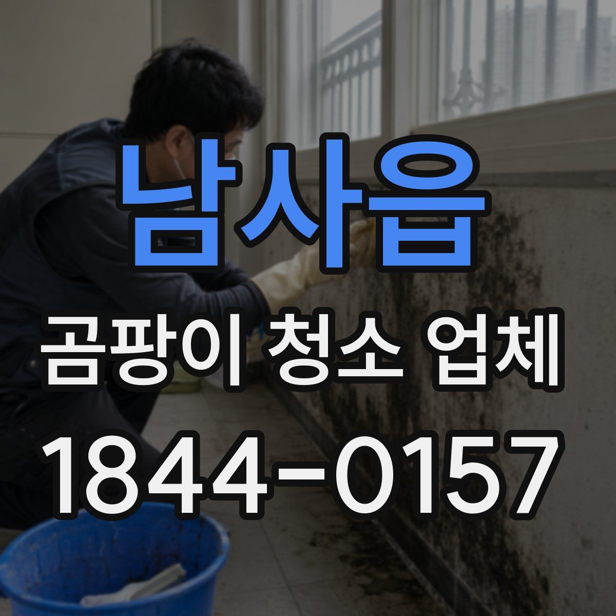 남사읍 곰팡이 청소 업체