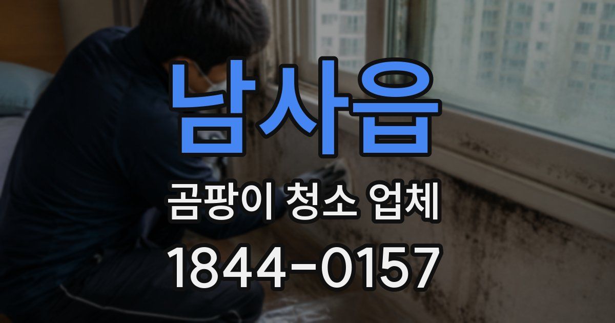 남사읍 곰팡이 청소 업체