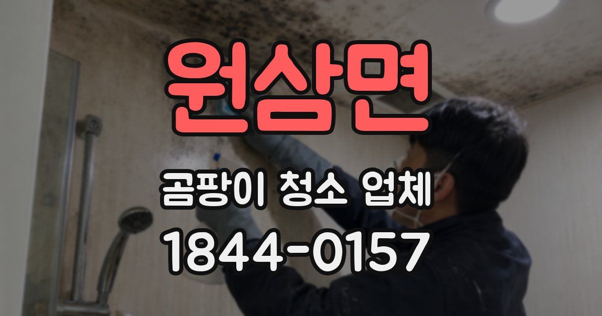 원삼면 곰팡이 청소 업체