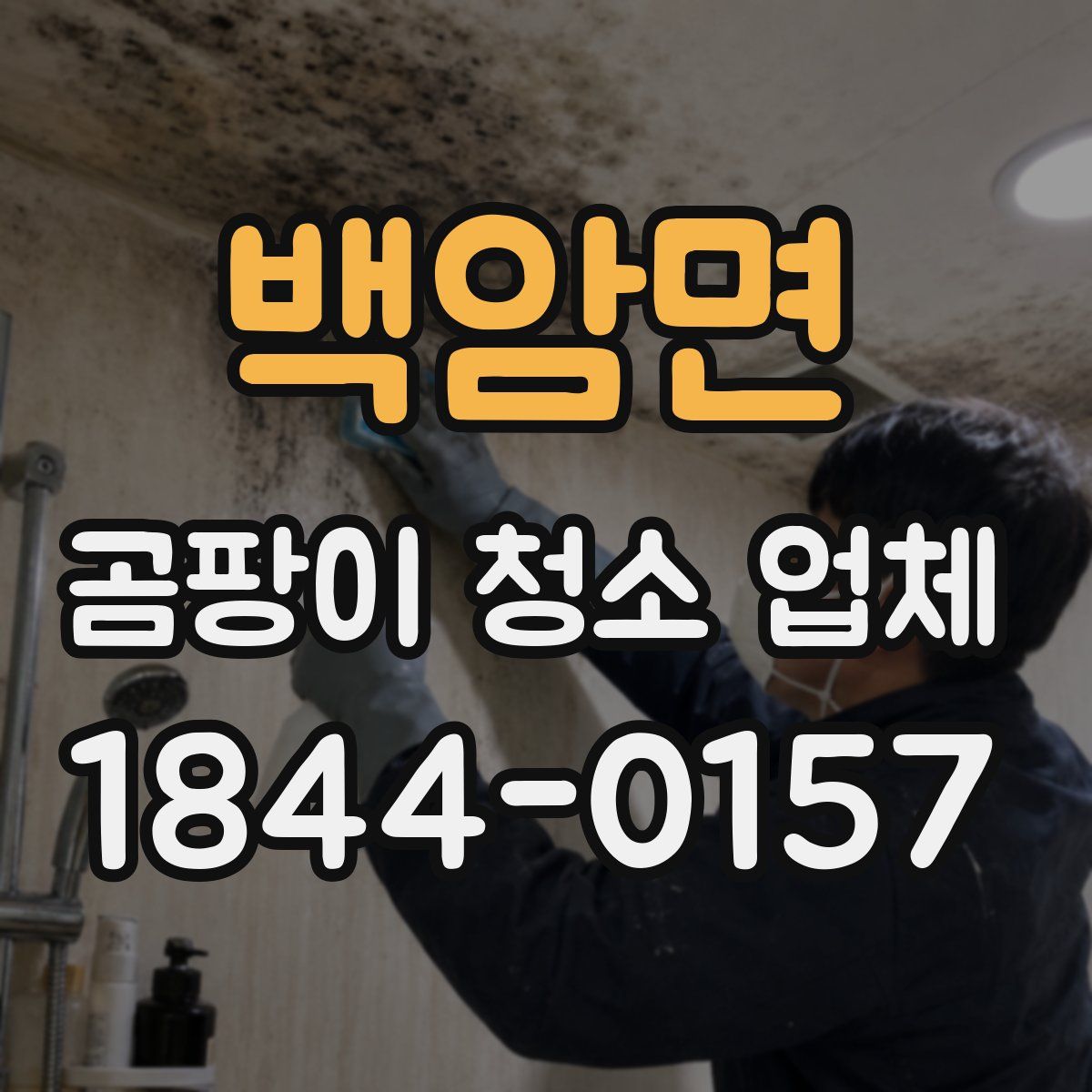 백암면 곰팡이 청소 업체