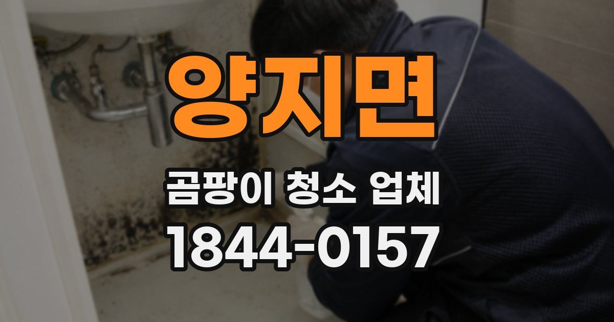 양지면 곰팡이 청소 업체