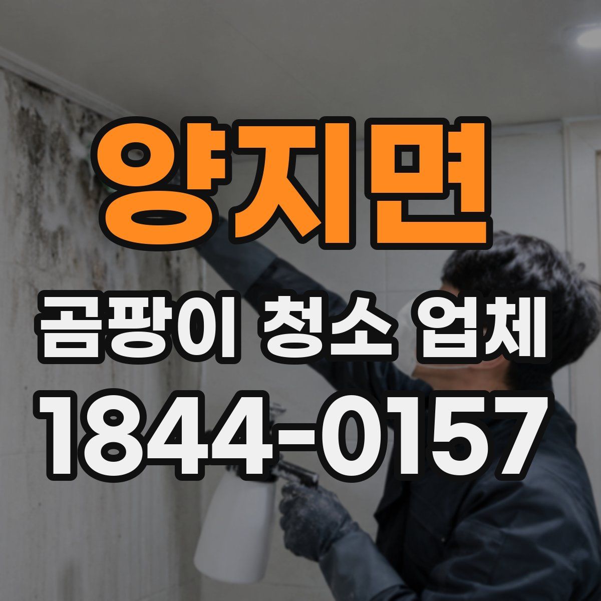 양지면 곰팡이 청소 업체
